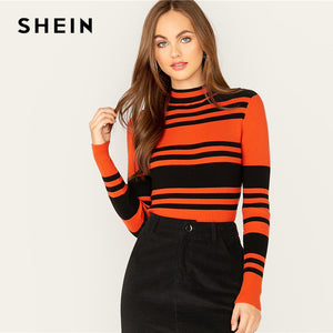 Multicolor Slim Fitted Pullover Sweater