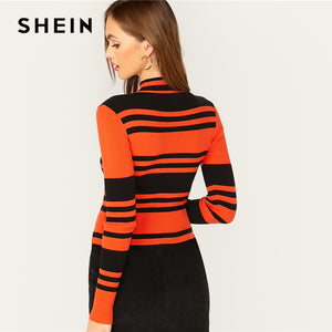 Multicolor Slim Fitted Pullover Sweater