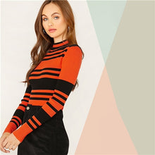 Load image into Gallery viewer, Multicolor Slim Fitted Pullover Sweater