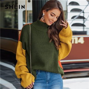 Multicolor High Neck Sweater